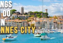 things to do in cannes city