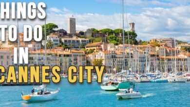 things to do in cannes city