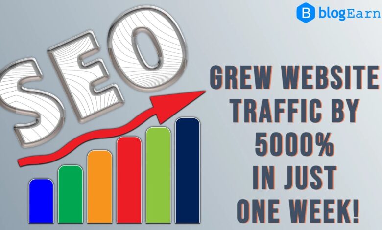 Grew-website-traffic-in-just-one-week