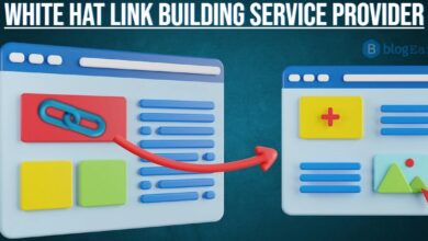 White-Hat-Link-Building-Service-Provider