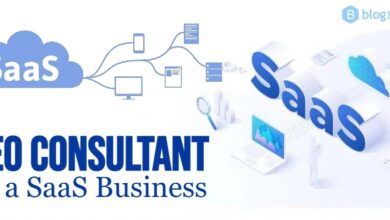 SEO-consultant-as-a-SaaS-business