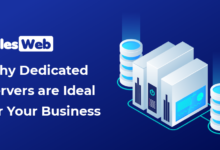 Why Dedicated Servers are Ideal for Your Business