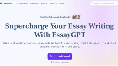 Essay-writing-tool