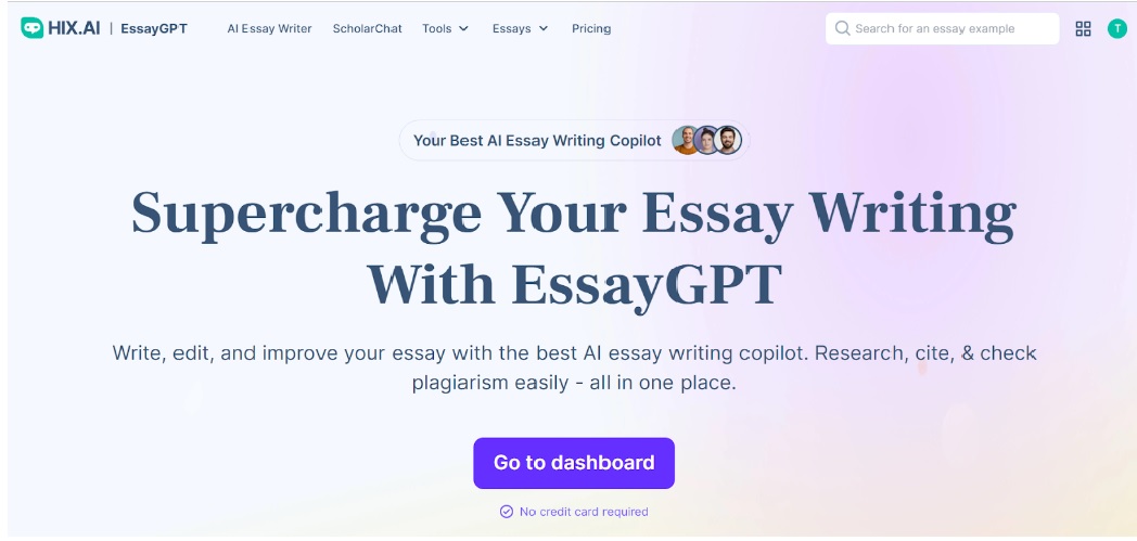 Essay-writing-tool