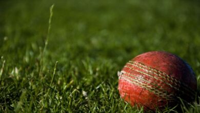 international-cricket-matches