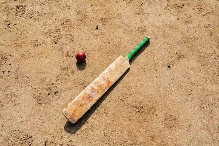 Cricket