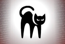 blackcat-exchange
