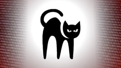 blackcat-exchange
