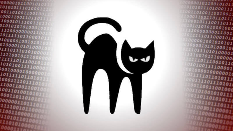 blackcat-exchange