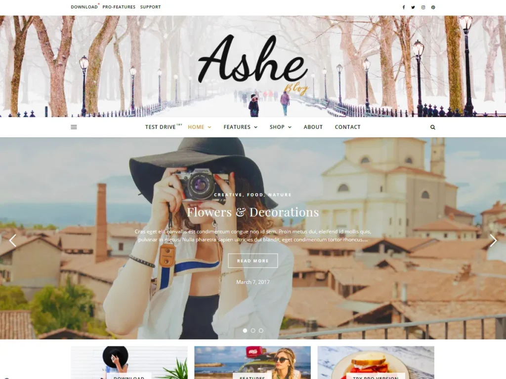 Ashe - WordPress theme for free
