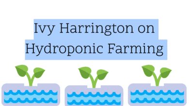 hydroponic-farming