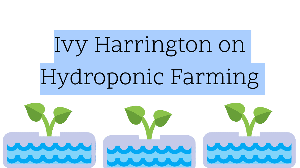 hydroponic-farming