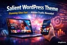 WordPress Theme Salient Guide