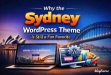 Sydney WordPress Theme - An honest review